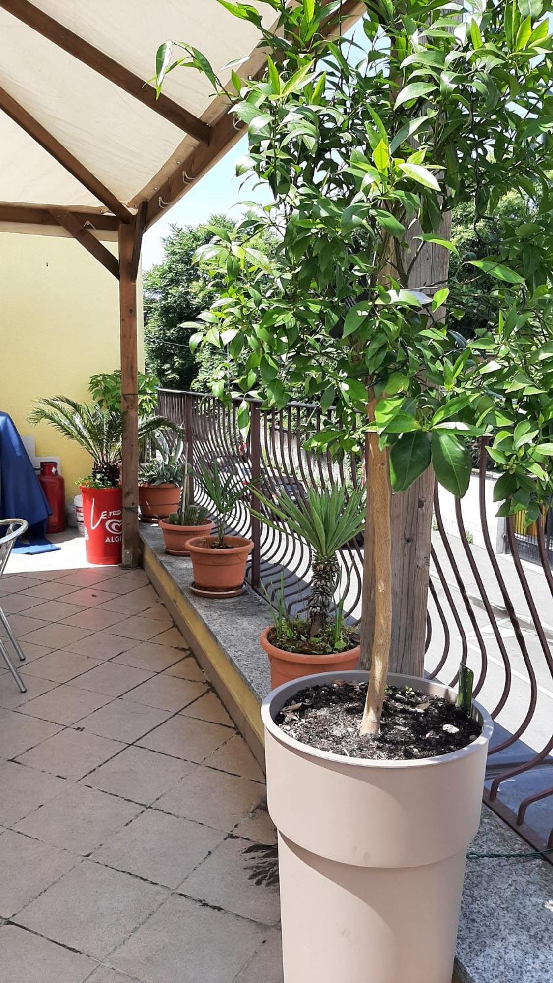 Il Ragno D'Oro Apartment Rho Exterior photo